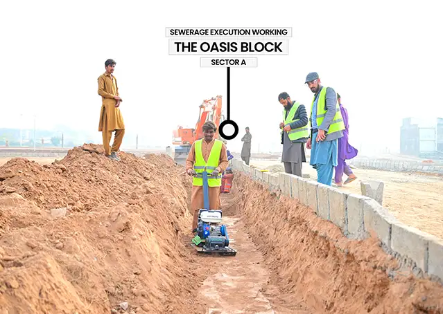 23720Artboard 7 (4).webp